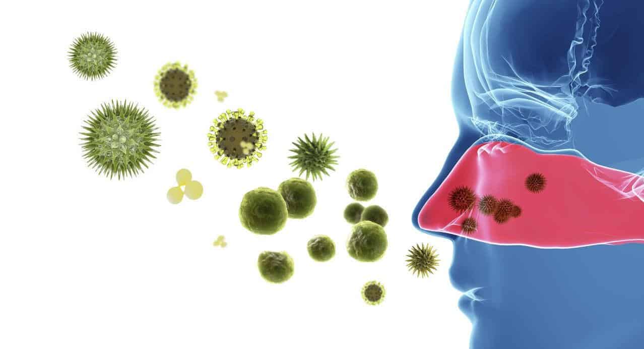 Что делать при поллинозе: рекомендации тем, у кого аллергия на пыльцу и споры грибов