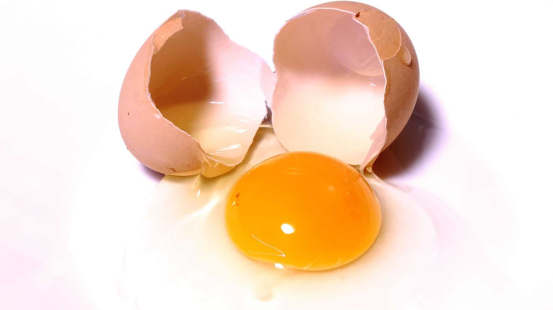 Алергія на курячі яйця: альтернатива (заміна) яєць - Все про алергію