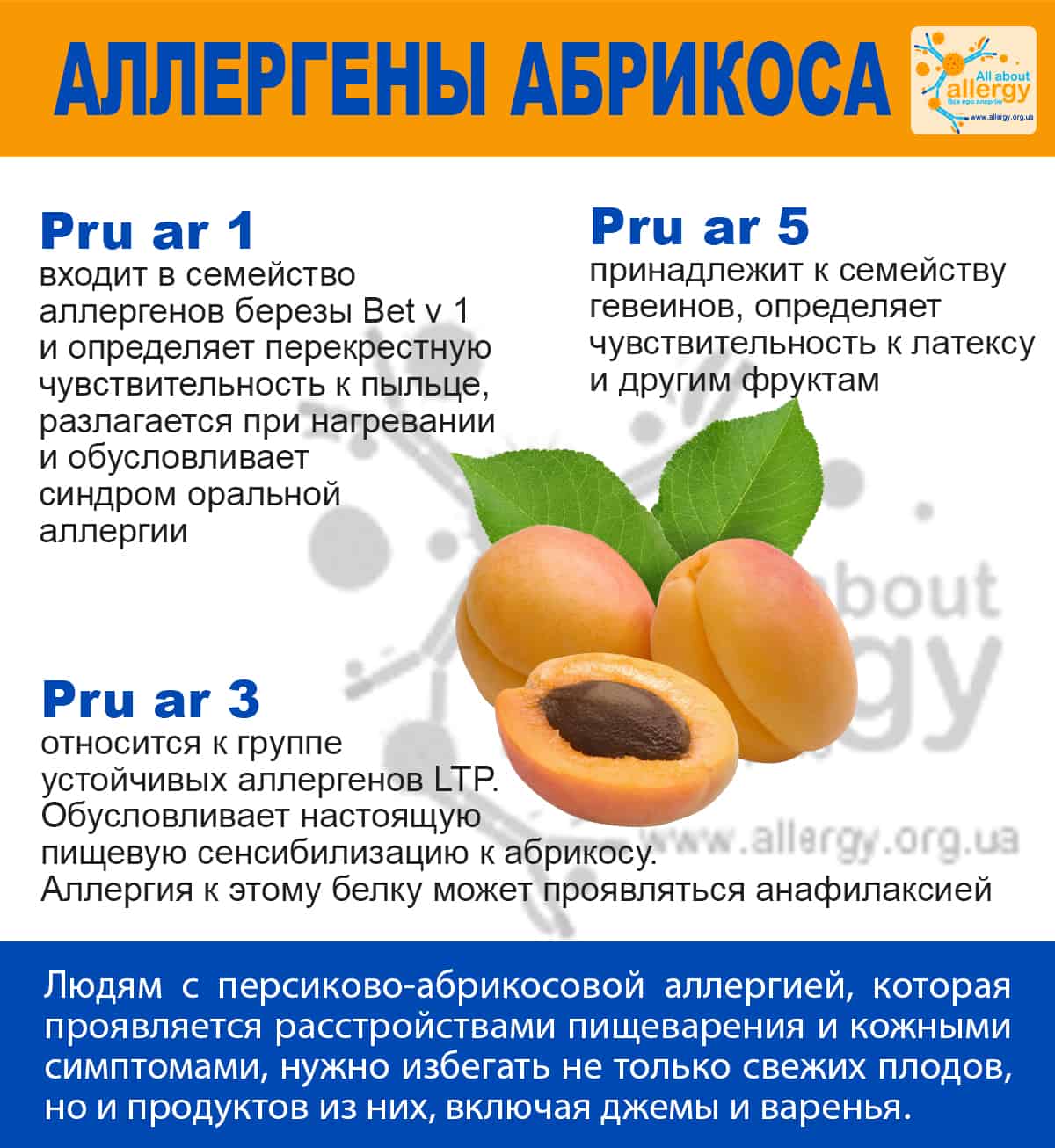 Аллергия на абрикос