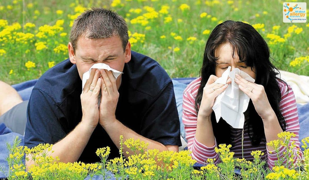 Что такое аллергия причины, симптомы, лечение и рекомендации