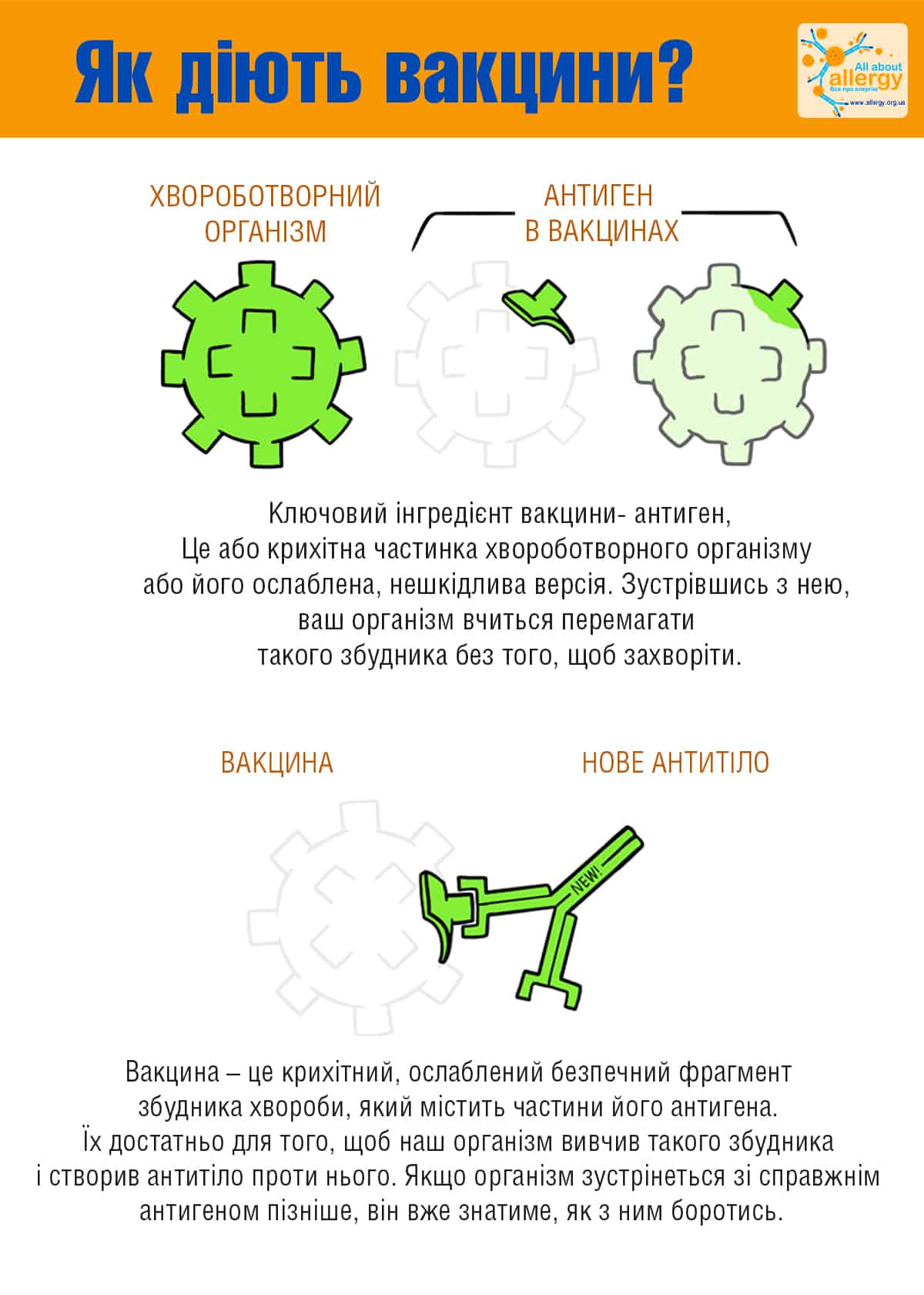 Вакцина проти коронавірусу як працює
