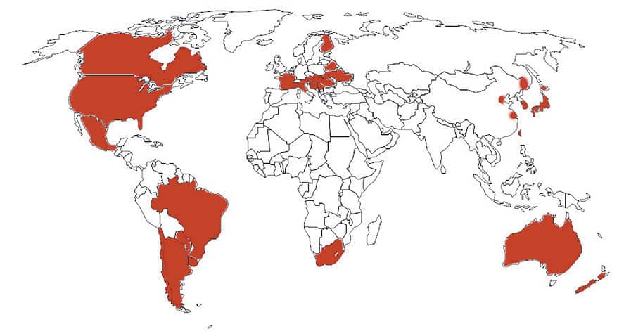 Карта распространенности амброзии в мире